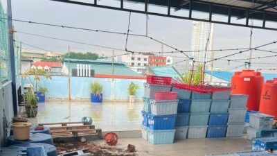 Pembunuhan Tragis di Batam: Seorang Asisten Rumah Tangga Tersangka Pembunuhan Tragis di Batam: Seorang Asisten Rumah Tangga Tersangka