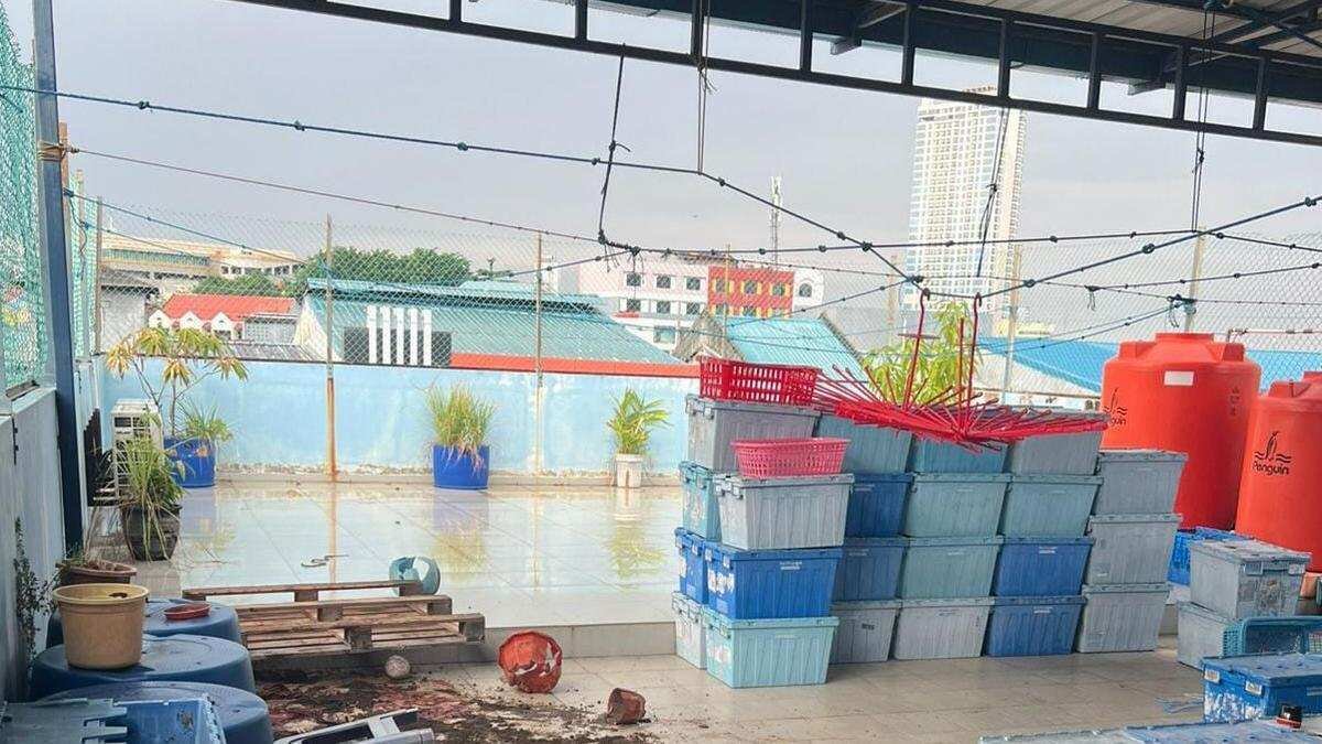 Pembunuhan Tragis di Batam: Seorang Asisten Rumah Tangga Tersangka Pembunuhan Tragis di Batam: Seorang Asisten Rumah Tangga Tersangka