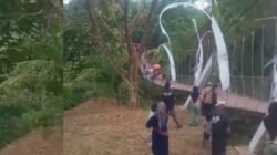 Kejadian Ambruknya Jembatan Gantung di Pangandaran Kejadian Ambruknya Jembatan Gantung di Pangandaran