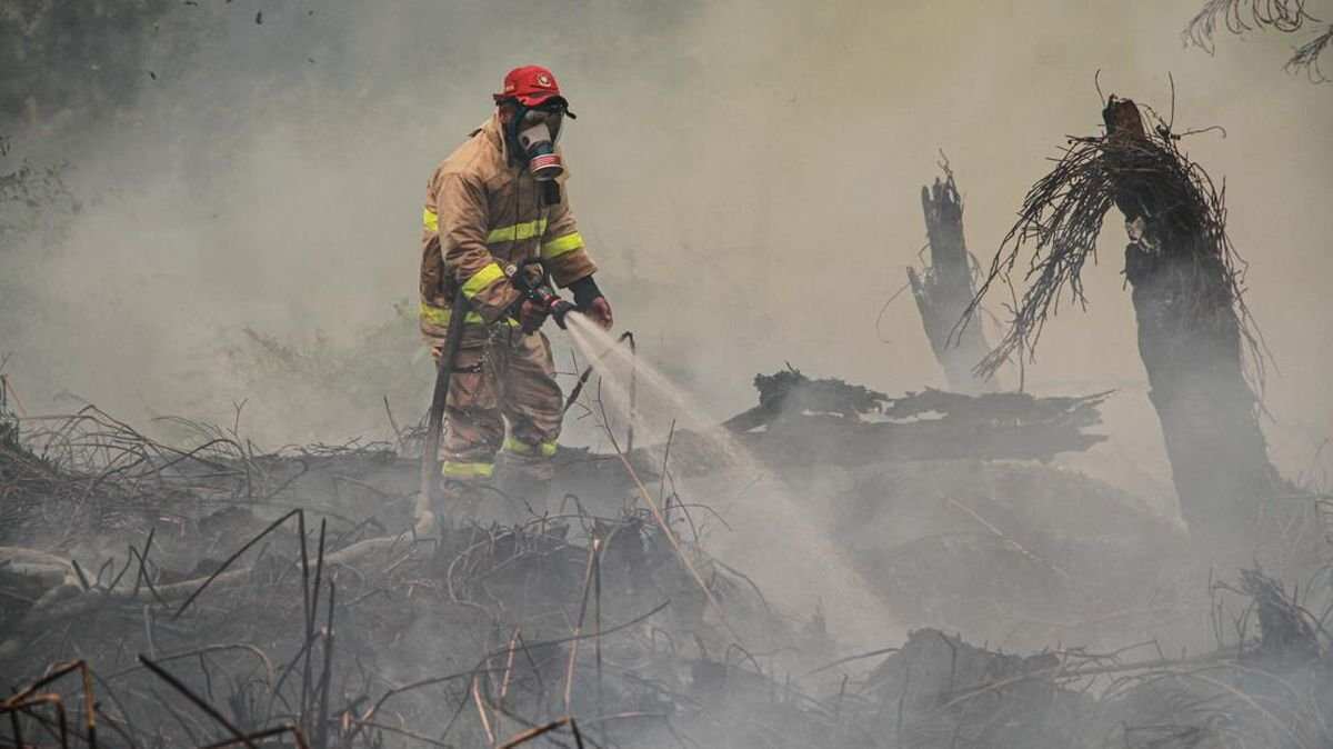 Tragedi Relawan Kebakaran Hutan di Kalimantan Tengah Tragedi Relawan Kebakaran Hutan di Kalimantan Tengah