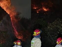 Kebakaran Melanda Gunung Hatta di Bandar Lampung: 1,3 Hektare Terbakar