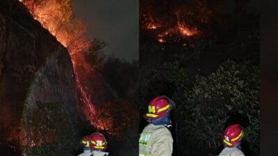 Kebakaran Melanda Gunung Hatta di Bandar Lampung: 1,3 Hektare Terbakar Kebakaran Melanda Gunung Hatta di Bandar Lampung: 1,3 Hektare Terbakar