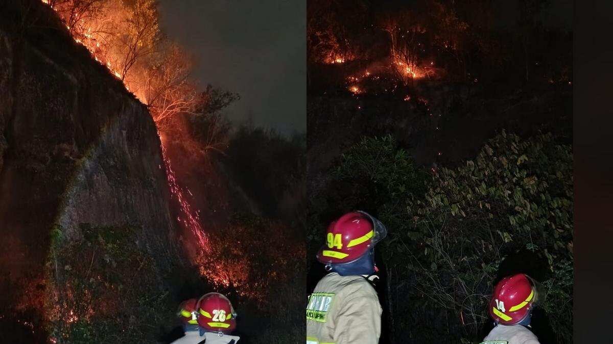 Kebakaran Melanda Gunung Hatta di Bandar Lampung: 1,3 Hektare Terbakar Kebakaran Melanda Gunung Hatta di Bandar Lampung: 1,3 Hektare Terbakar
