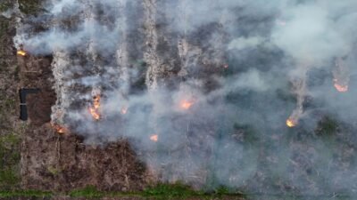 Penanganan Kebakaran Hutan dan Lahan oleh Pemerintah