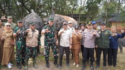 Membangun Harmoni Manusia dan Gajah di Way Kambas