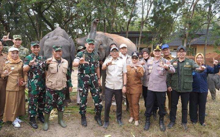Membangun Harmoni Manusia dan Gajah di Way Kambas