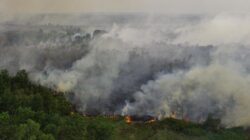 Tindakan Terhadap Kebakaran Hutan di Kabupaten Ogan Komering Ilir Tindakan Terhadap Kebakaran Hutan di Kabupaten Ogan Komering Ilir