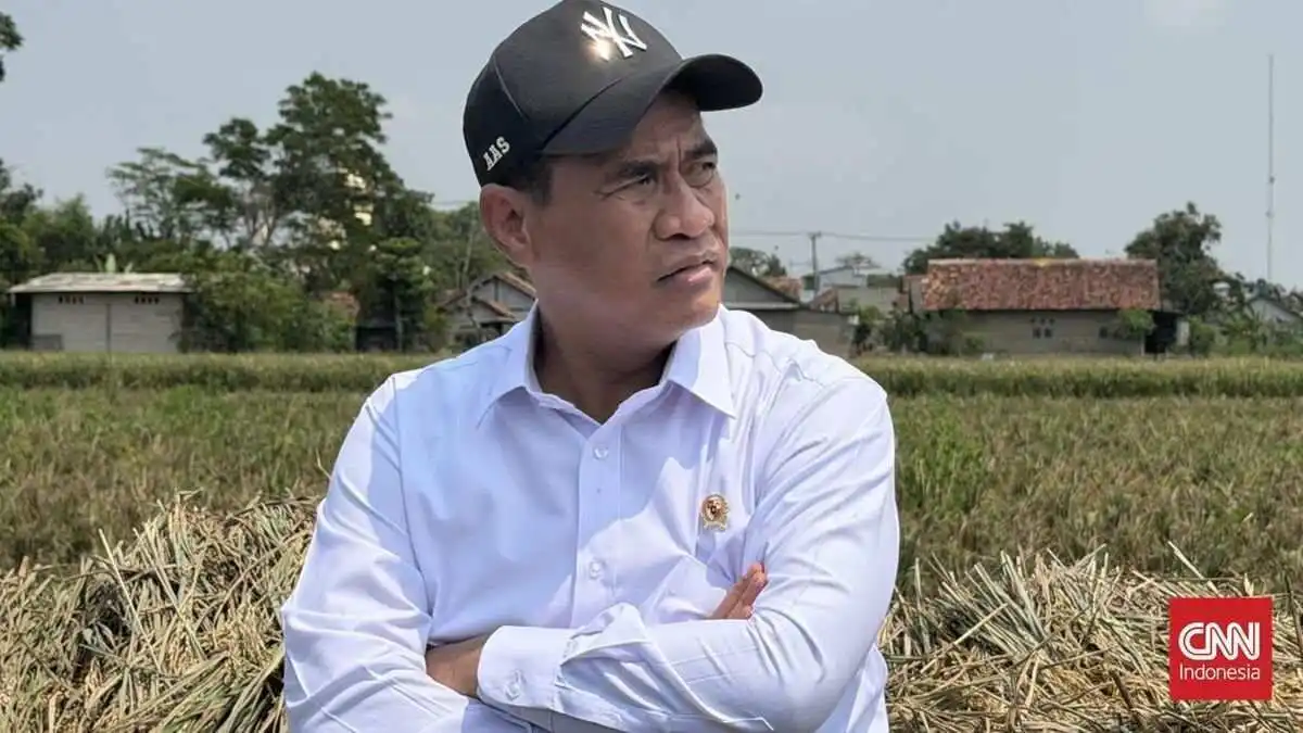 Pentingnya Pusat Pembenihan Padi dalam Meningkatkan Produksi Beras Nasional