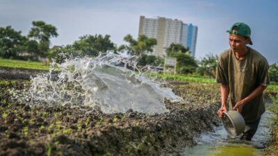 Menggali Potensi Green Jobs di Era Keberlanjutan Menggali Potensi Green Jobs di Era Keberlanjutan