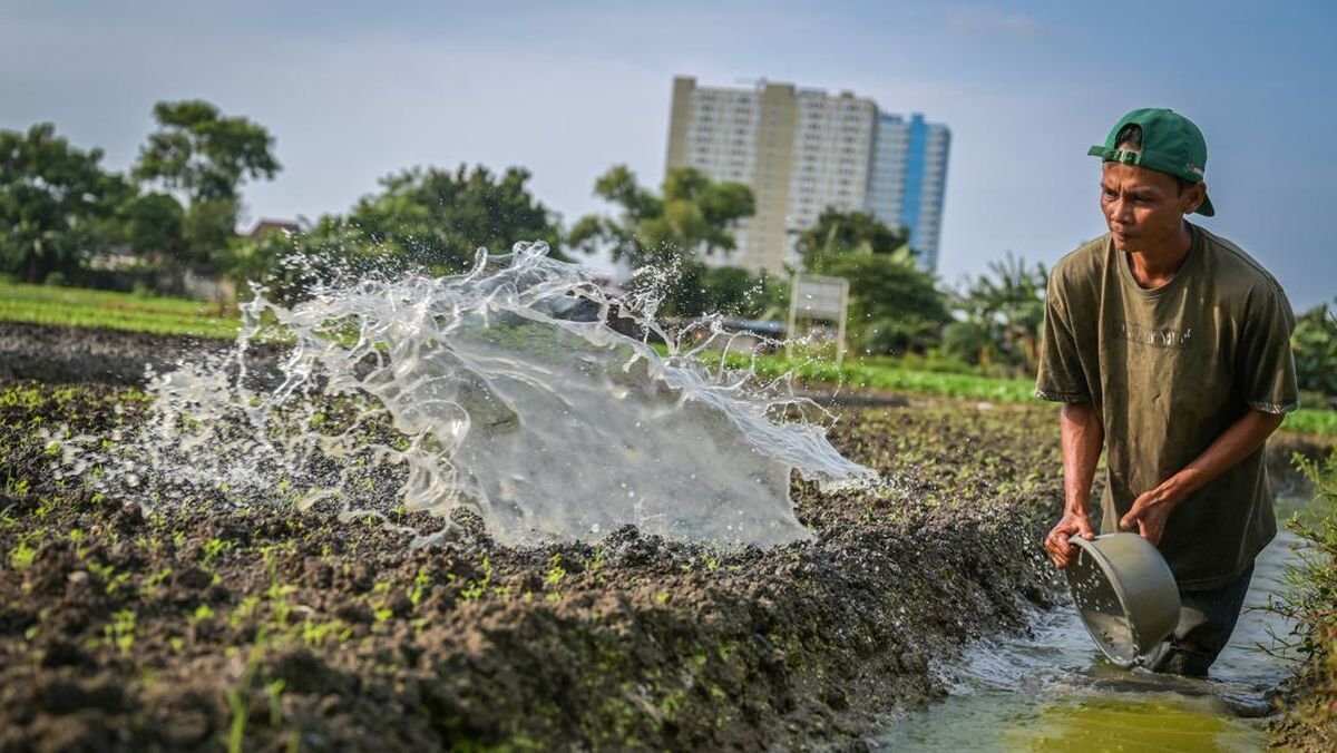 Menggali Potensi Green Jobs di Era Keberlanjutan