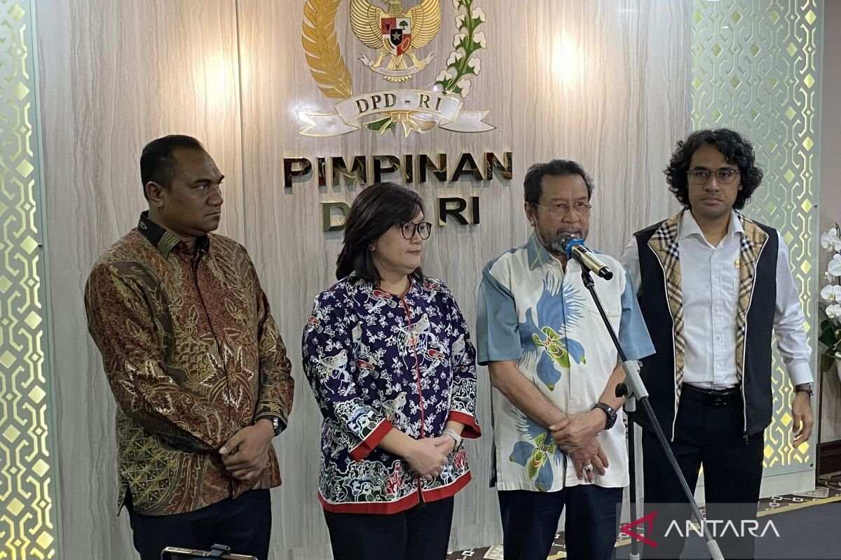 Kolaborasi Komnas HAM dan Pansus DPD untuk Menyelesaikan Konflik Papua
