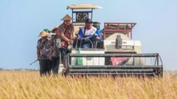 Optimisme Gubernur Jateng Terhadap Target Produksi Padi