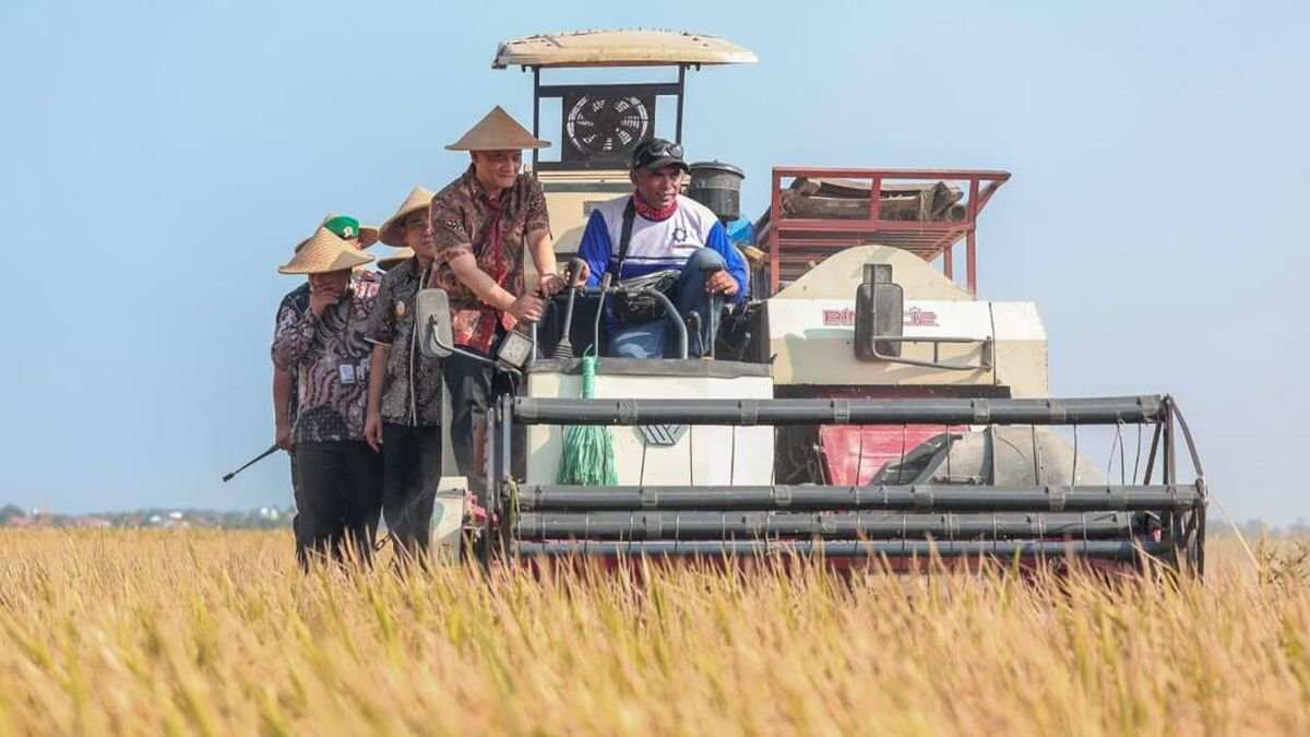 Optimisme Gubernur Jateng Terhadap Target Produksi Padi
