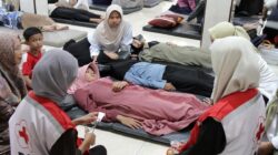Korban Dugaan Keracunan Makanan Bergizi di Sidoarjo Mencapai 730 Orang
