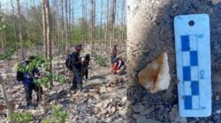 Penemuan Jejak Kehidupan Masa Lampau di Hutan Nganjuk Penemuan Jejak Kehidupan Masa Lampau di Hutan Nganjuk