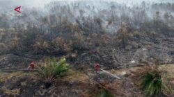Titik Karhutla Terdeteksi di Lahan Konsesi di Sumatera Selatan