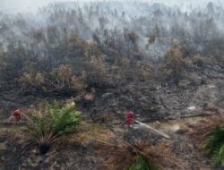 Titik Karhutla Terdeteksi di Lahan Konsesi di Sumatera Selatan