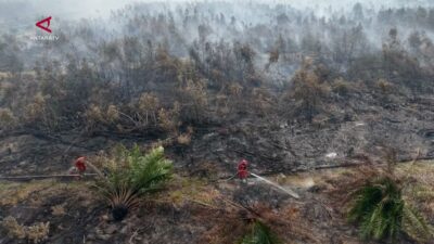 Titik Karhutla Terdeteksi di Lahan Konsesi di Sumatera Selatan