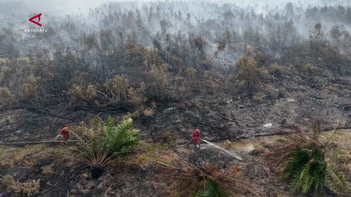 Titik Karhutla Terdeteksi di Lahan Konsesi di Sumatera Selatan Titik Karhutla Terdeteksi di Lahan Konsesi di Sumatera Selatan