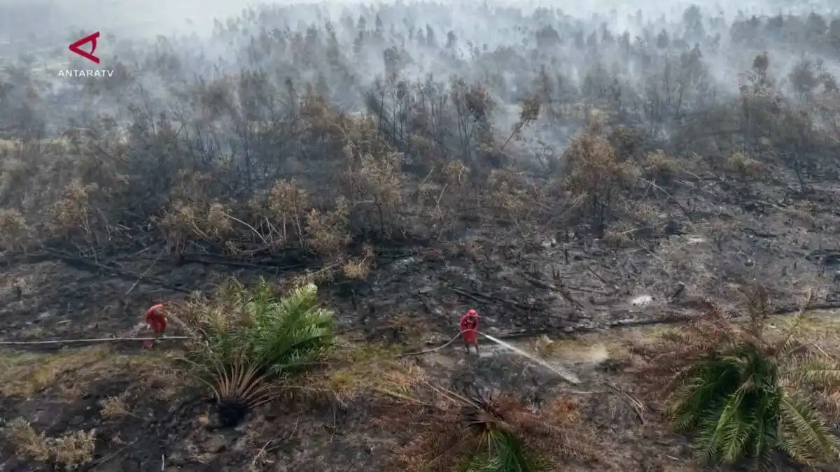Titik Karhutla Terdeteksi di Lahan Konsesi di Sumatera Selatan