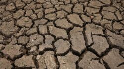 PBB Ramalkan Bencana Akibat Fenomena El Nino