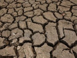 PBB Ramalkan Bencana Akibat Fenomena El Nino