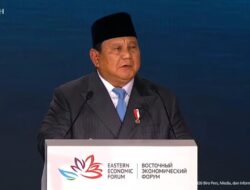 Peluang Kerja Sama Ekonomi Indonesia dan Rusia