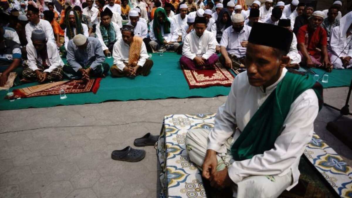 Seruan MUI untuk Shalat Istisqa: Memohon Hujan di Tengah Kekeringan
