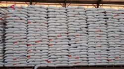 Peningkatan Produksi Beras di Sulawesi Selatan