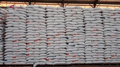 Peningkatan Produksi Beras di Sulawesi Selatan