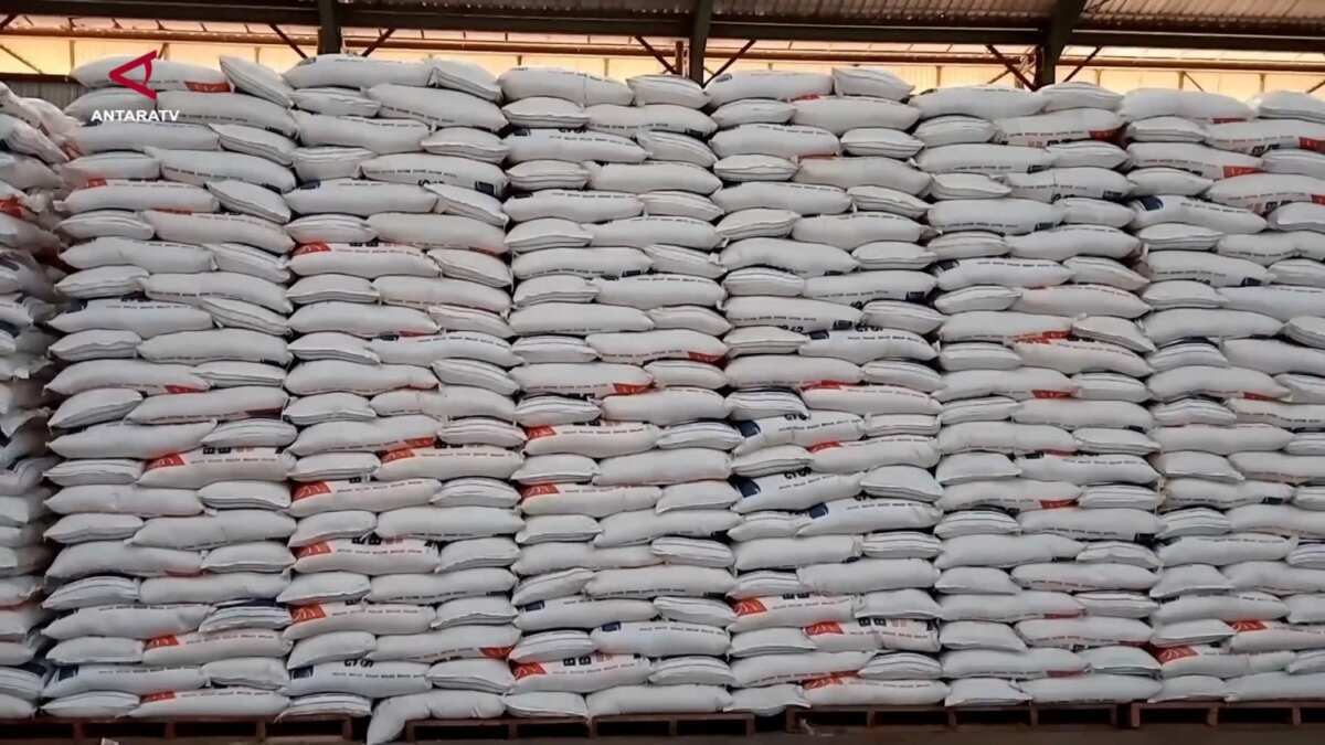 Peningkatan Produksi Beras di Sulawesi Selatan