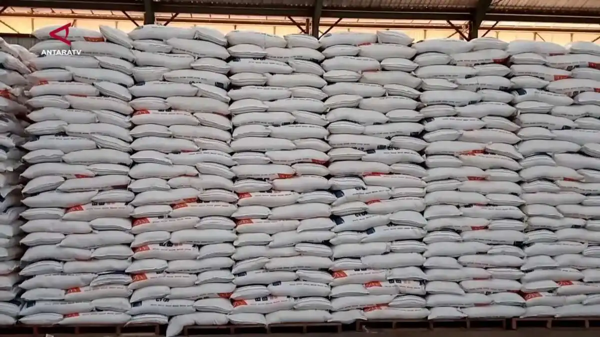 Peningkatan Produksi Beras di Sulawesi Selatan