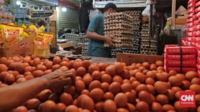 Kesenjangan Harga Pangan di Indonesia: Sorotan terhadap Harga Telur di Papua