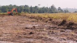Dukungan APHI Terhadap Instruksi Presiden Larangan Pembukaan Lahan dengan Cara Membakar