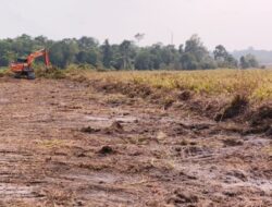 Dukungan APHI Terhadap Instruksi Presiden Larangan Pembukaan Lahan dengan Cara Membakar