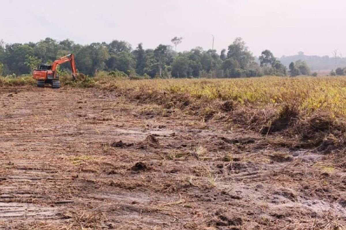 Dukungan APHI Terhadap Instruksi Presiden Larangan Pembukaan Lahan dengan Cara Membakar