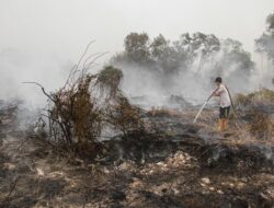 Malaysia Deklarasikan Status Darurat di Sarawak Akibat Karhutla