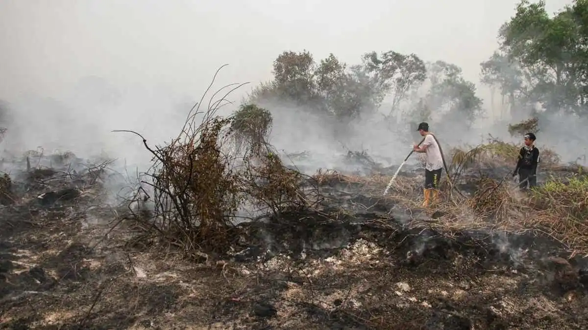 Malaysia Deklarasikan Status Darurat di Sarawak Akibat Karhutla