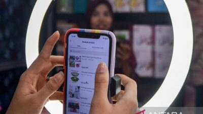 Keseimbangan Pola Belanja Online dan Offline di Indonesia