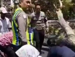 Tragedi Pohon Tumbang di Semarang: Menggugah Kesadaran Keamanan Lalu Lintas