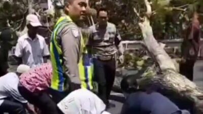 Tragedi Pohon Tumbang di Semarang: Menggugah Kesadaran Keamanan Lalu Lintas