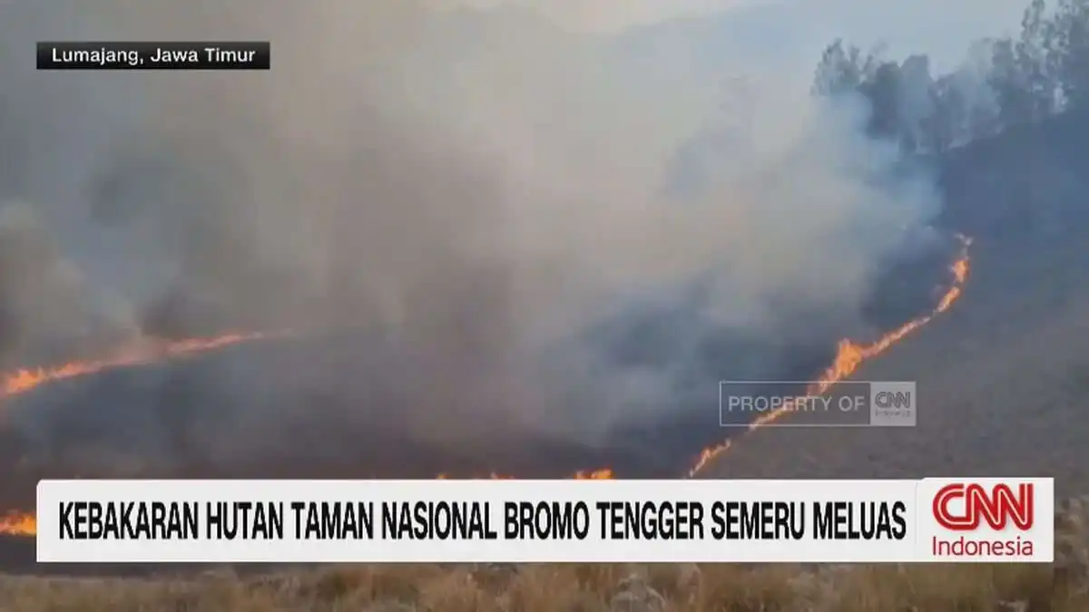 Kebakaran Hutan di Taman Nasional Bromo Tengger Semeru: Masih Dalam Upaya Pemadaman