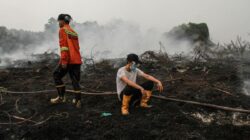 Dukungan Internasional dalam Penanganan Karhutla Kalimantan