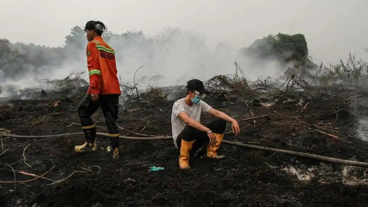 Dukungan Internasional dalam Penanganan Karhutla Kalimantan