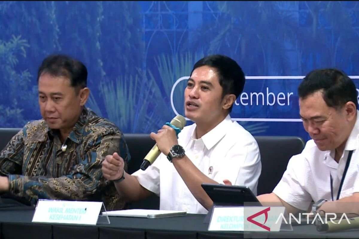 Mendorong Layanan Kesehatan Jiwa dan Daycare Ditanggung BPJS