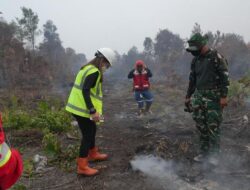 Tanggapan MIND ID Terhadap Kebakaran Hutan di Mempawah