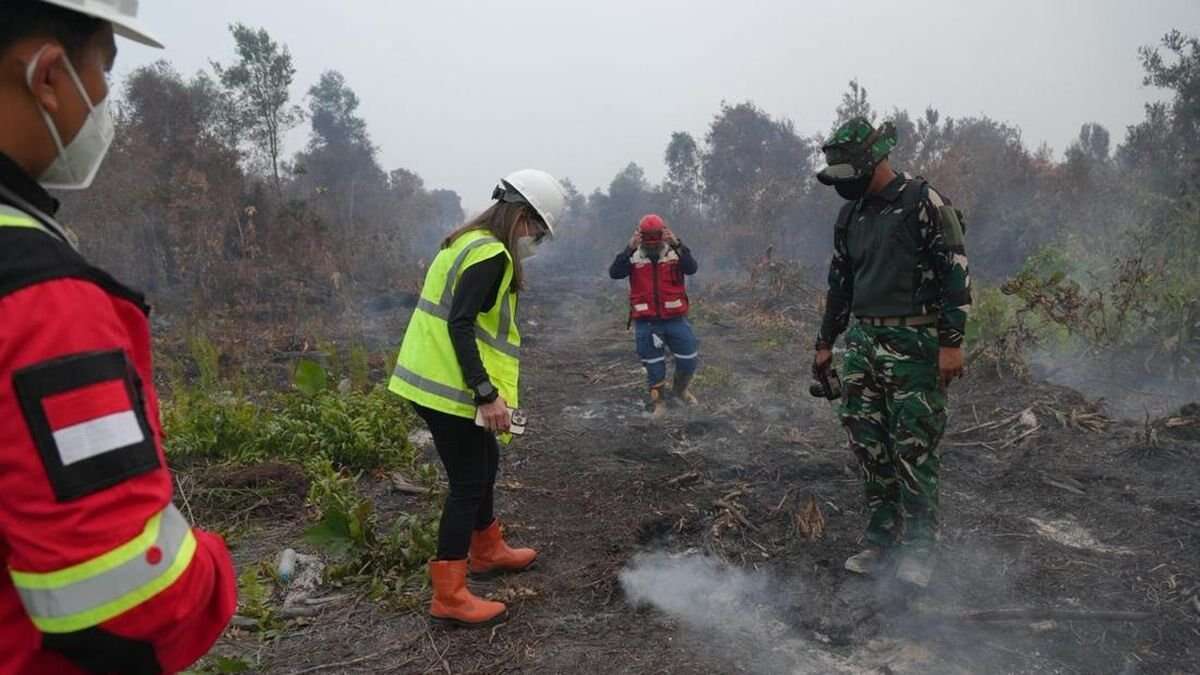 Tanggapan MIND ID Terhadap Kebakaran Hutan di Mempawah