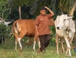 Kisah Sukses Petani di Bukit Timah Dumai