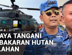 Langkah Mengatasi Kebakaran Hutan dan Lahan di Indonesia
