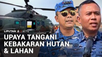Langkah Mengatasi Kebakaran Hutan dan Lahan di Indonesia